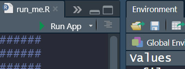 An image of the run app button in RStudio